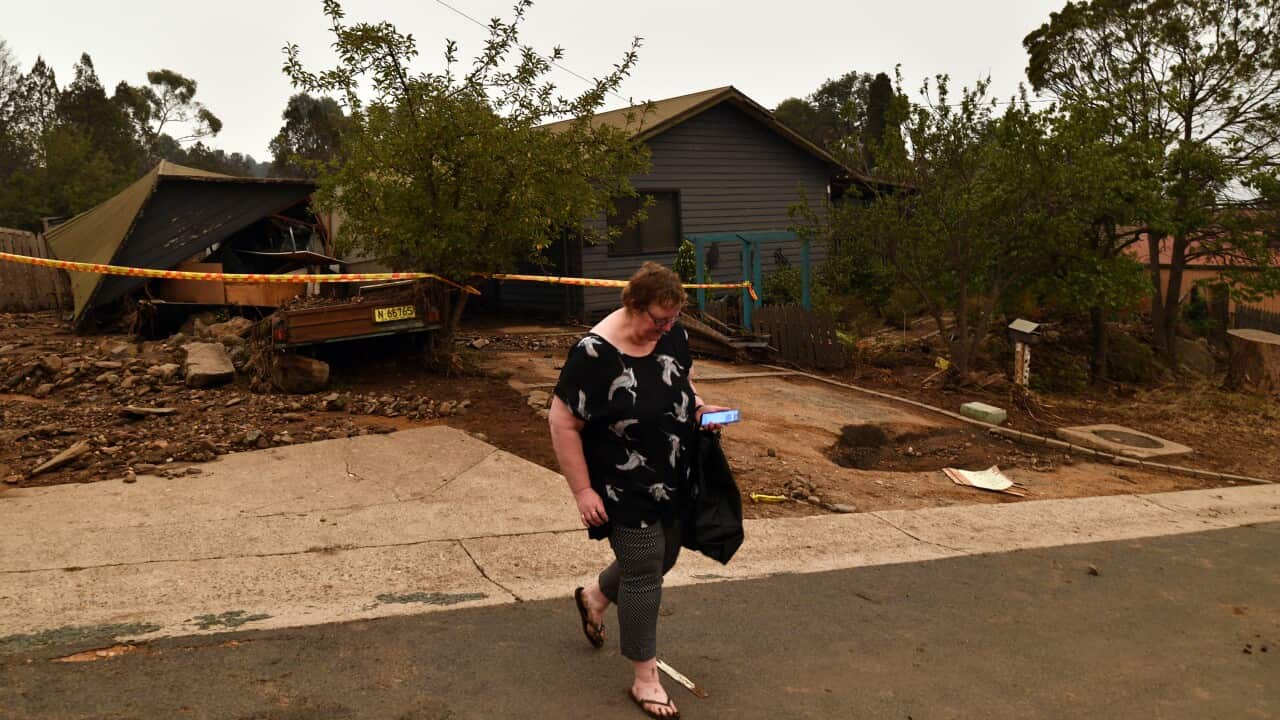 Australia Explained: Bushfire Recovery