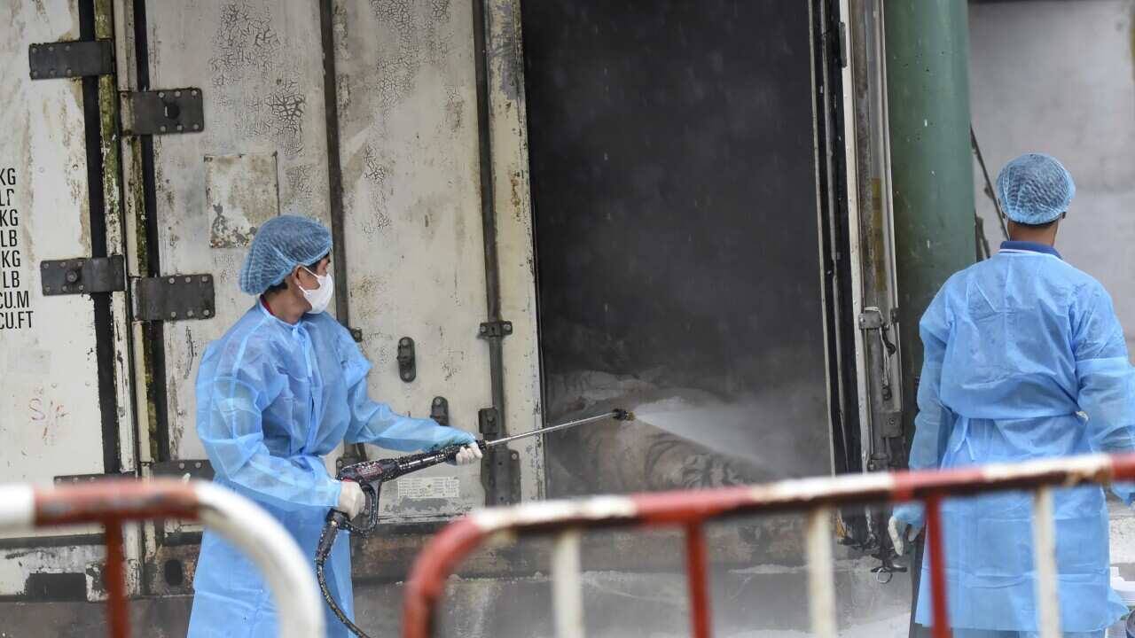 Animal health workers spray disinfectant after tigers died of bird flu at Vuon Xoai zoo in Bien Hoa city, Vietnam on Thursday, Oct. 3, 2024