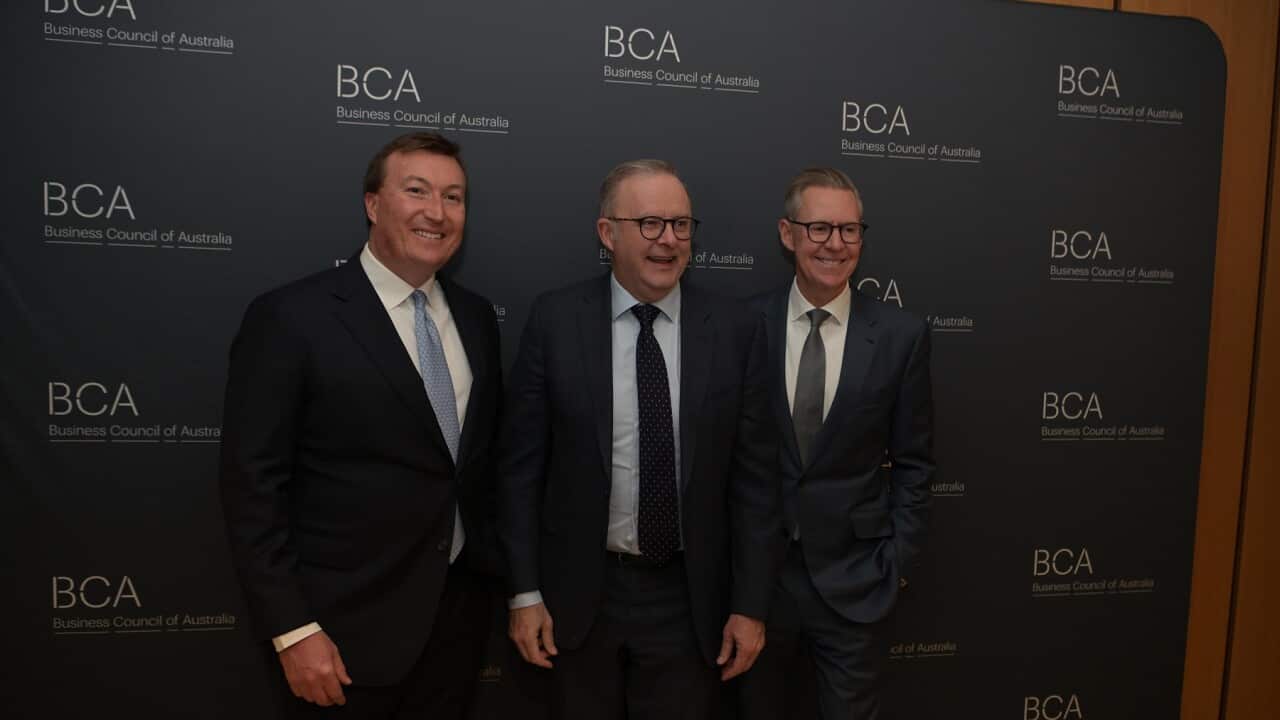 ANTHONY ALBANESE BUSINESS COUNCIL DINNER