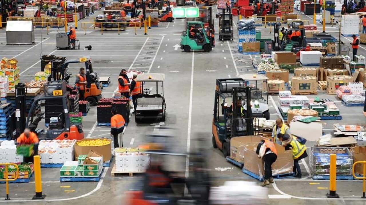 SCOTT MORRISON MELBOURNE MARKET VISIT