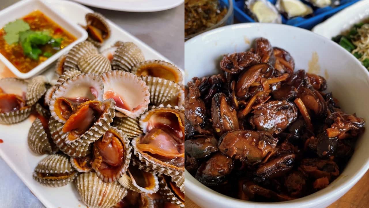 shellfish.png