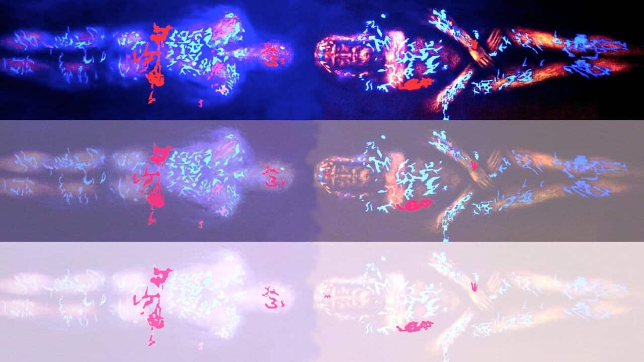 The Holy Shroud by Veronica Piraccini