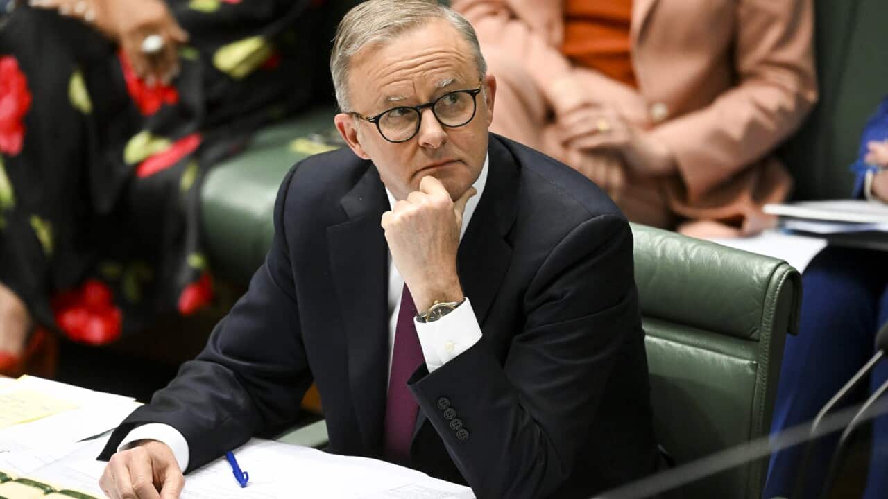 Prime Minister Anthony Albanese sitting in Parliament