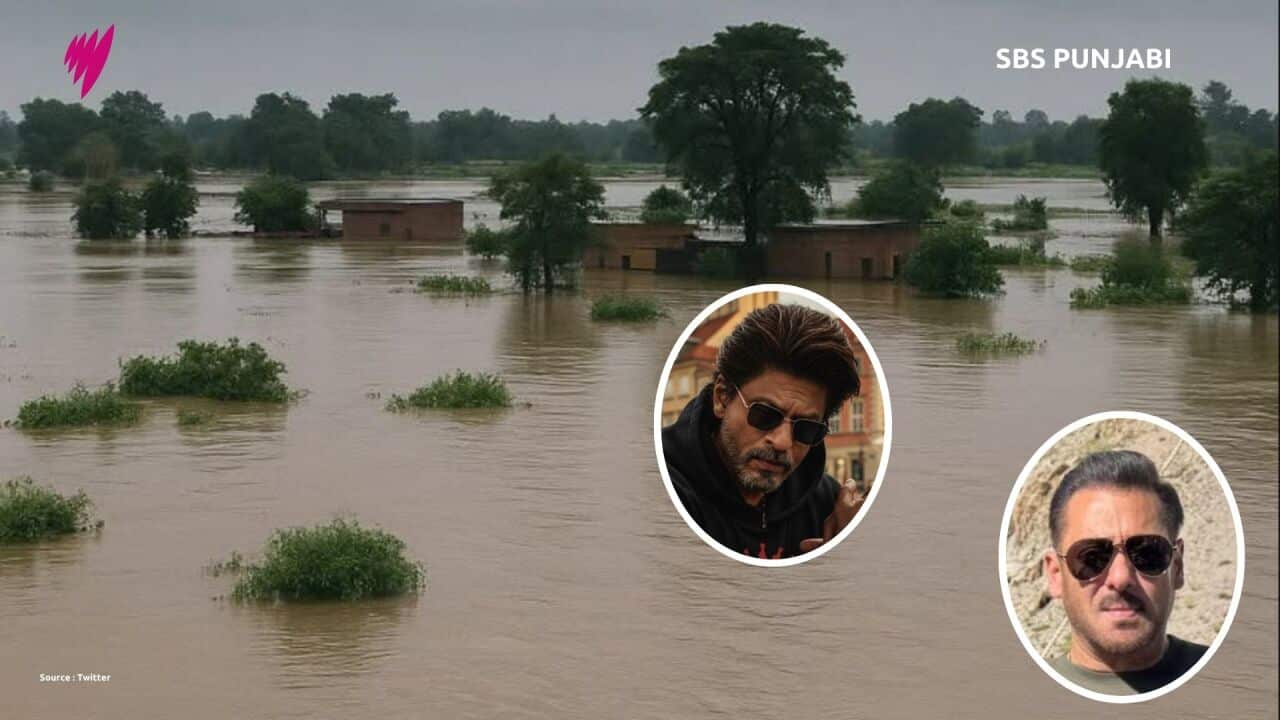 MP's 16x9  (Presentation) (3).jpg