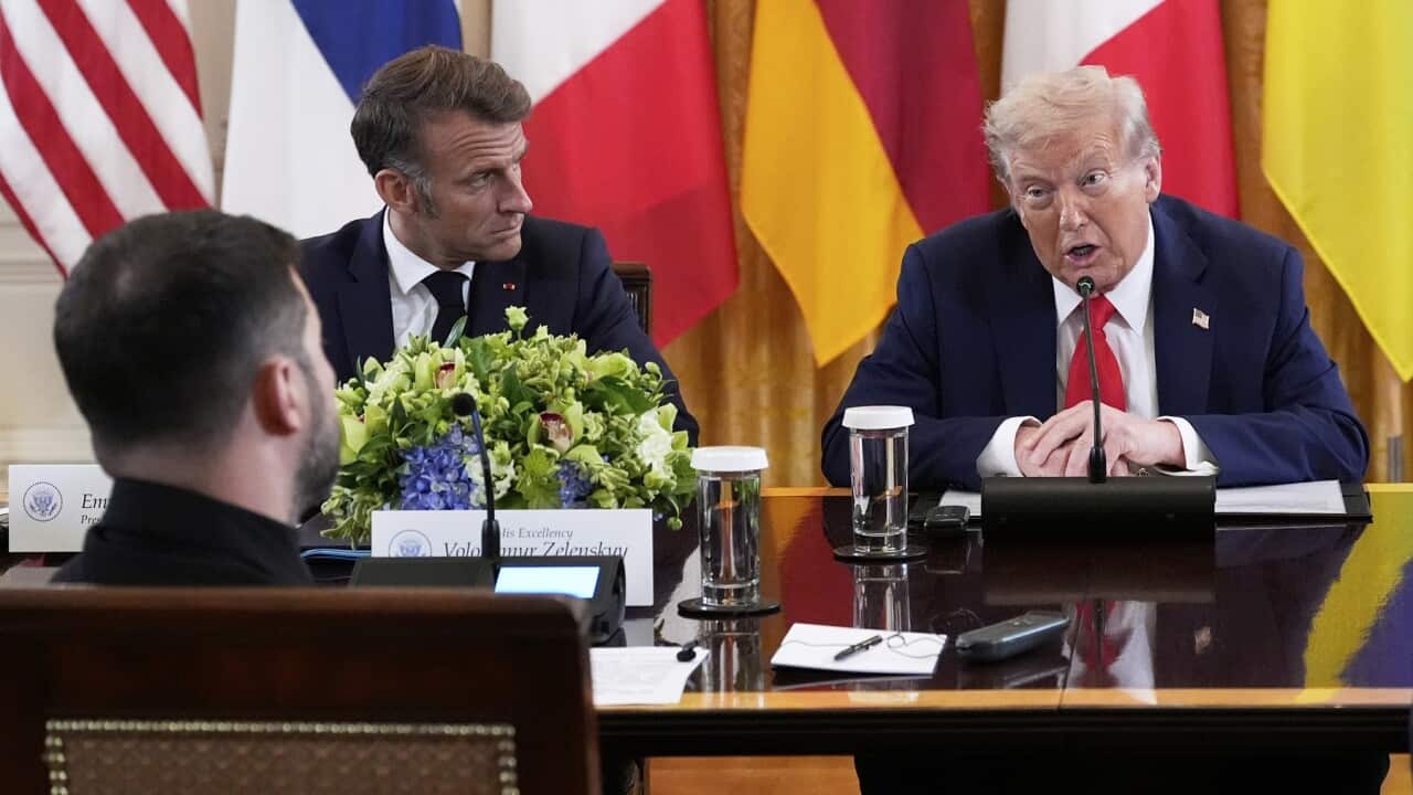 Donald Trump,Volodymyr Zelenskyy,Emmanuel Macron,Friedrich Merz,Giorgia Meloni,Alexander Stubb,Ursula von der Leyen,Mark Rutte,Keir Starmer