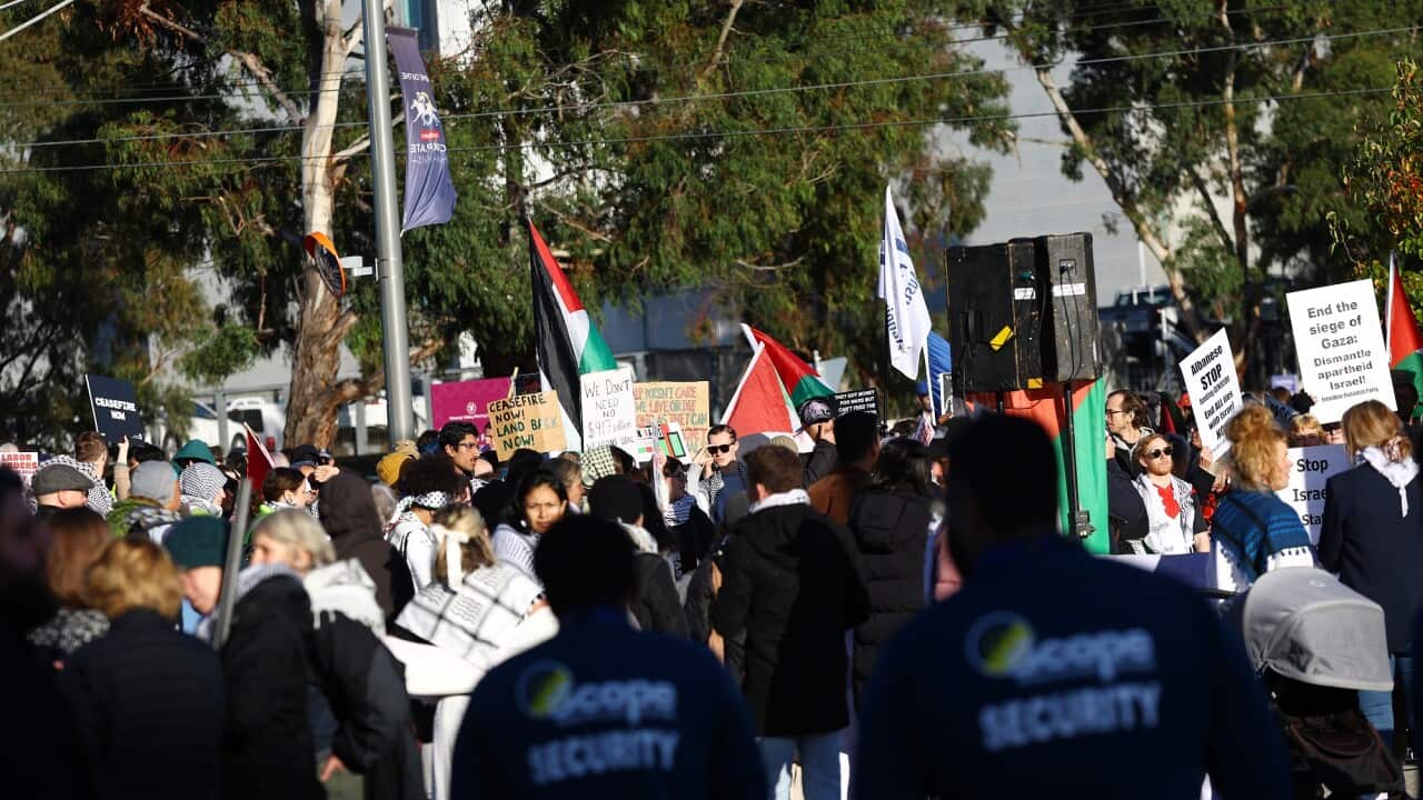 Protesters with signs and Palestinian flags.