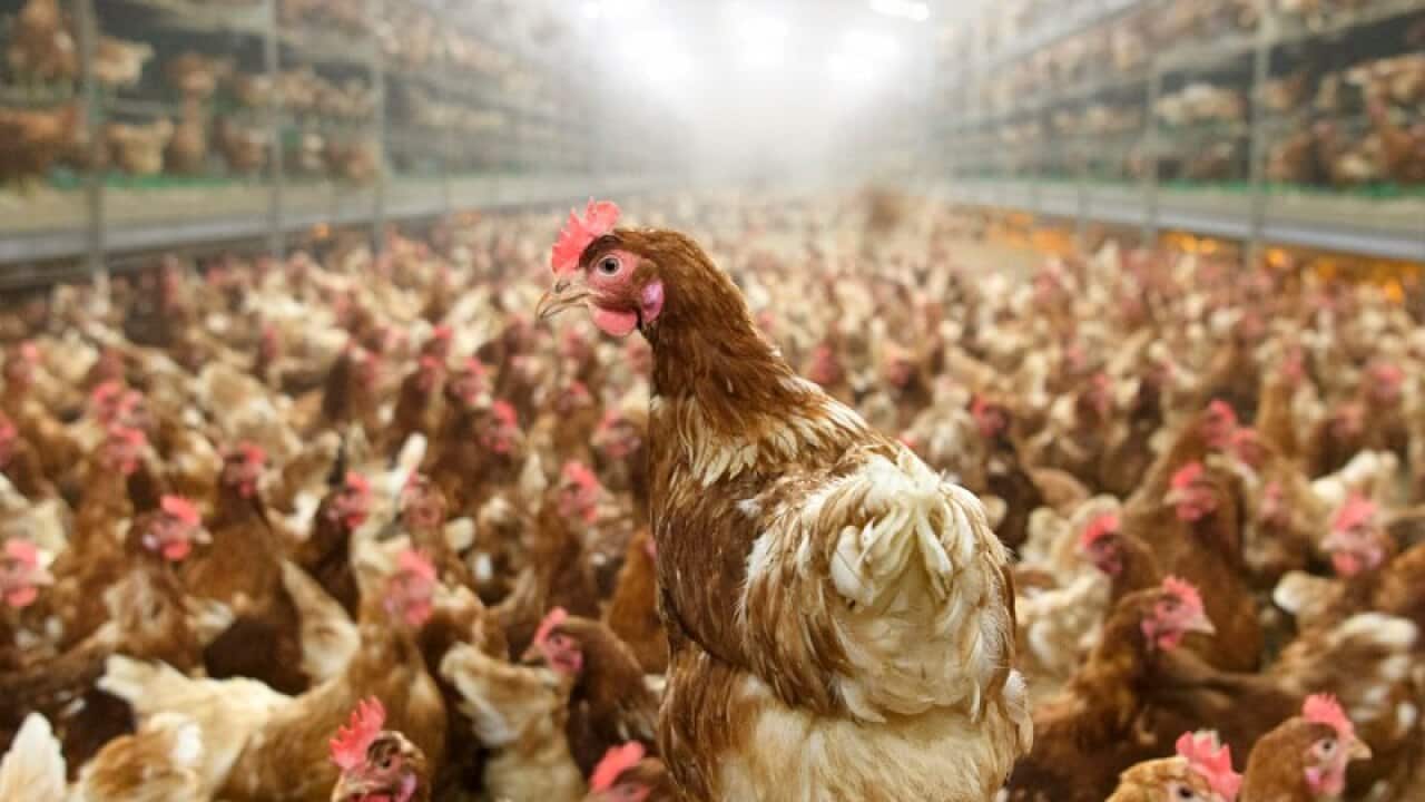 Image for read more article ''