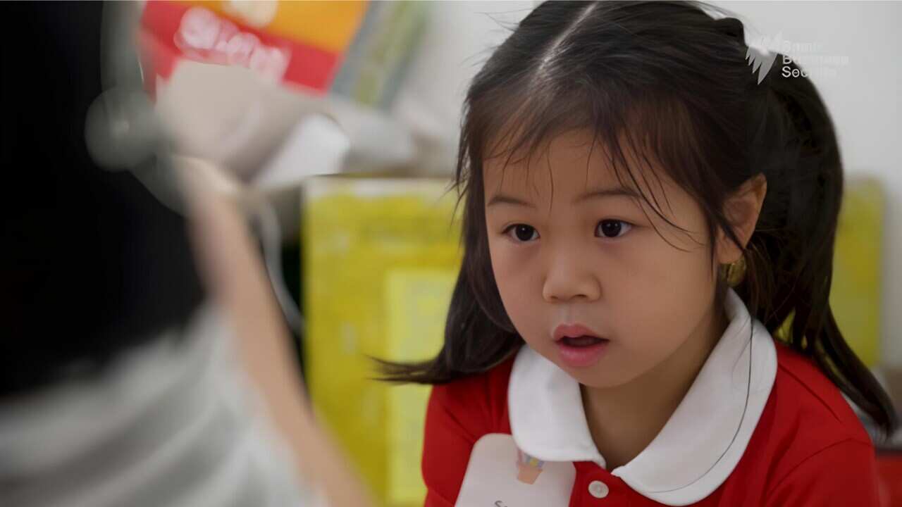 Senna Lee learning Mandarin and English at a bi-lingual pre-school (SBS News).jpg