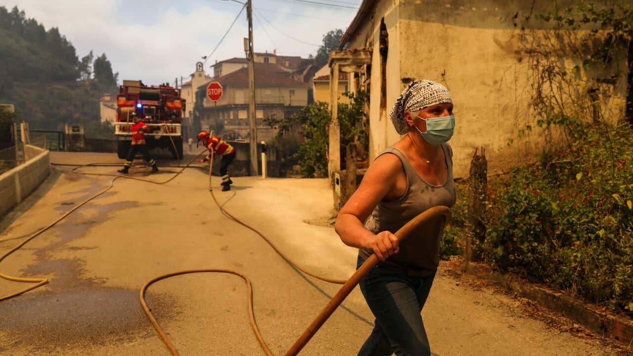 Portugal fights wildfires