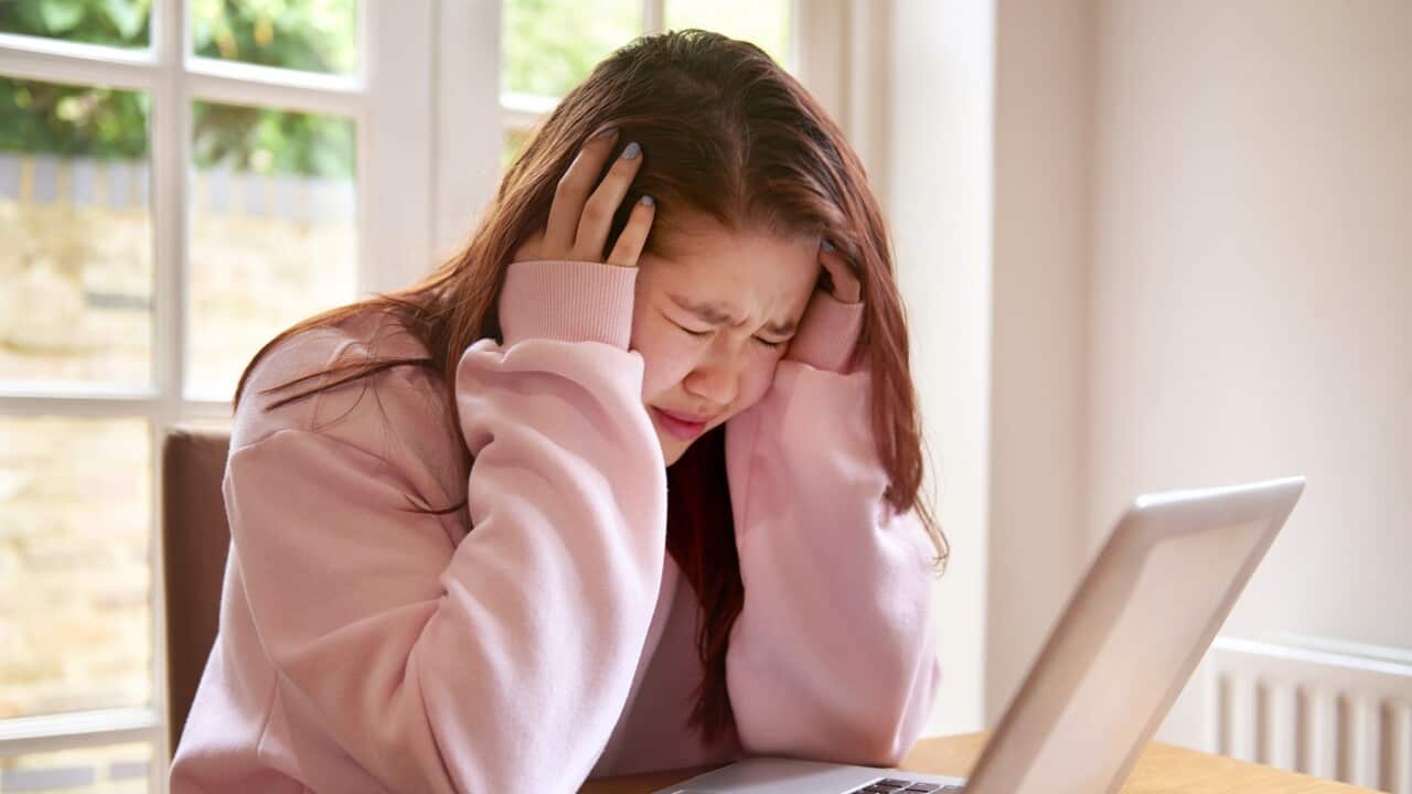 Senior students in Australia are more stressed and studying less