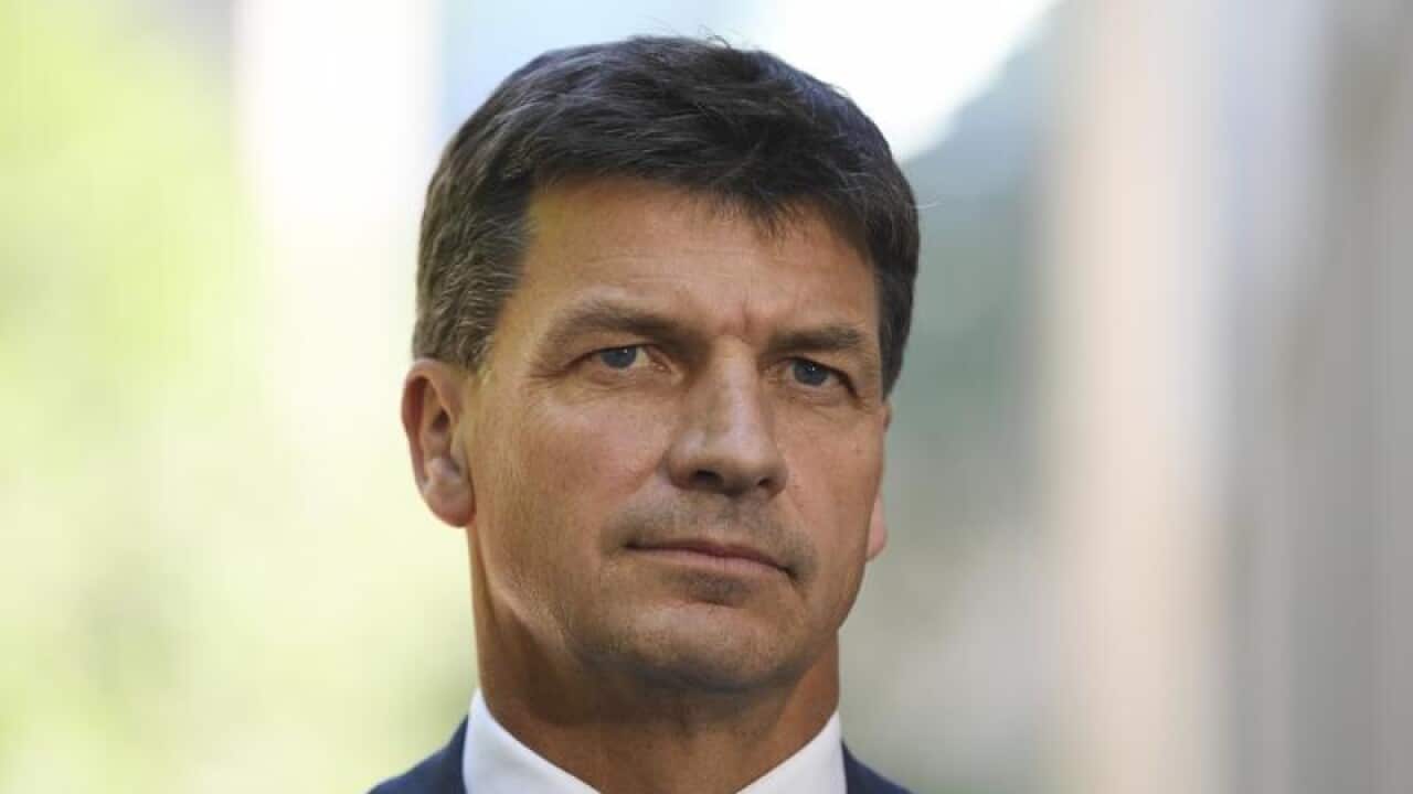 Federal Energy Minister Angus Taylor.