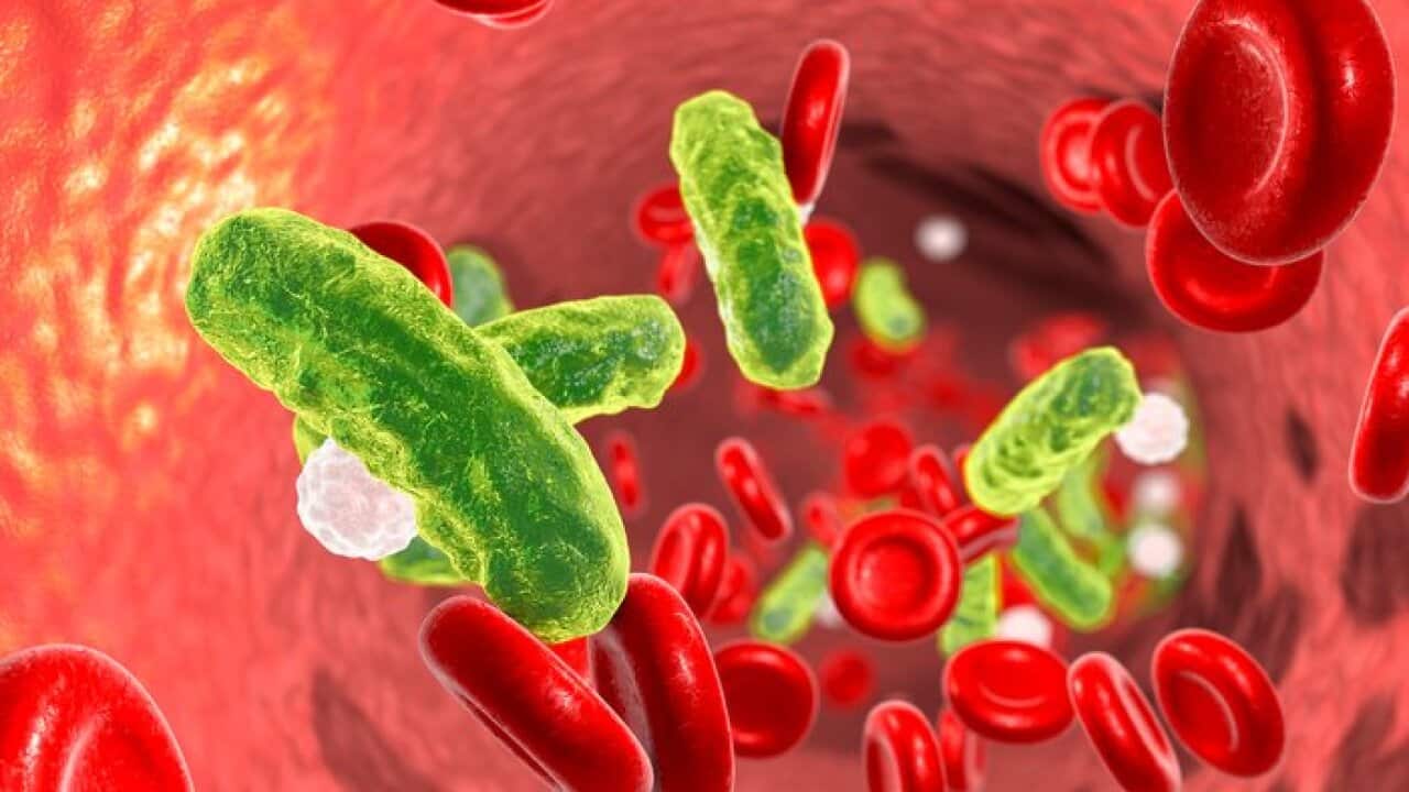 Sepsis, bacteria in blood