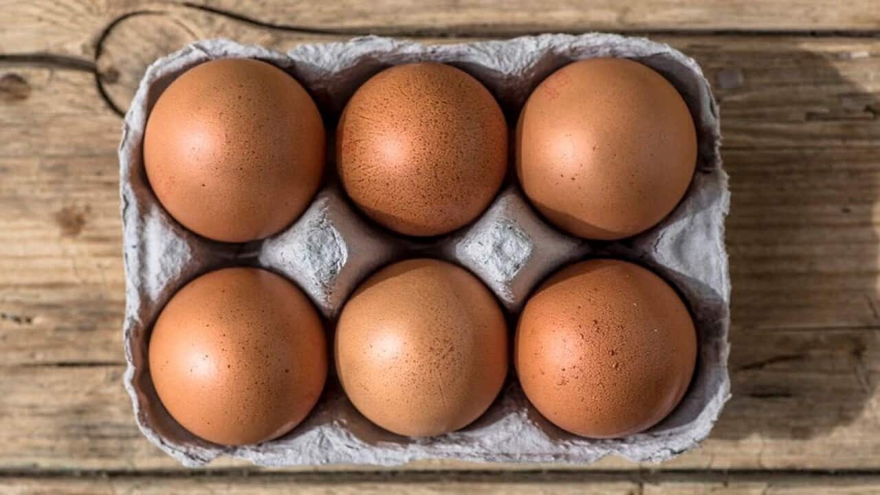 Free range egg producers will be bound by a new information standard.
