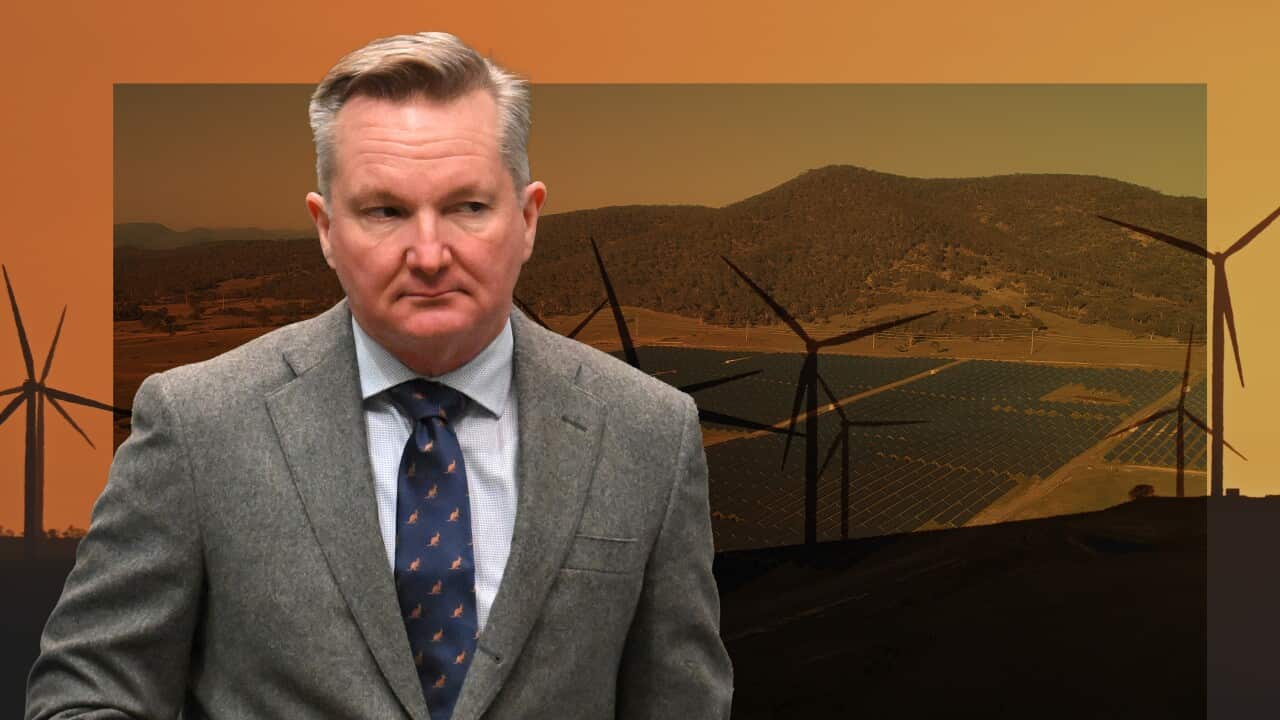 A composite image of climate change minister Chris Bowen in front of solar panels and wind turbines