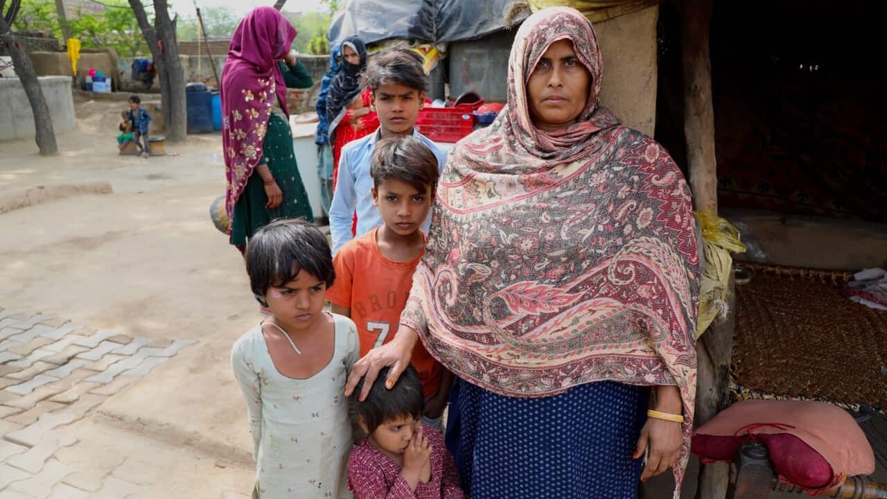 Relatives of a sacred cow murder victim want those responsible held to account (SBS).jpg