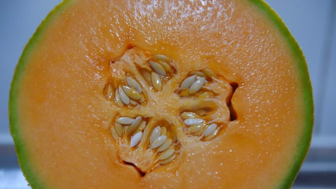 A rockmelon is seen on a kitchen bench in Sydney