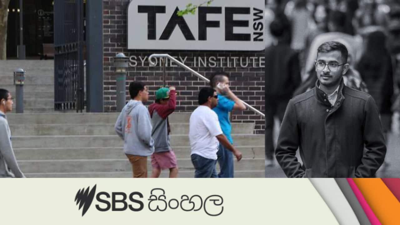 Image for read more article 'LIATEN MORE'