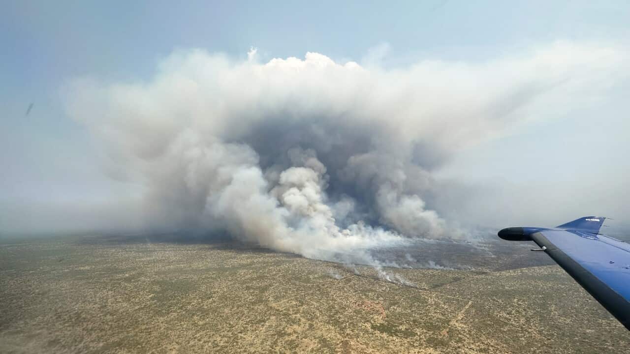 Image for read more article ''