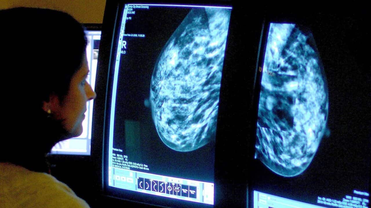 Doctor views breast cancer scan on computer screen
