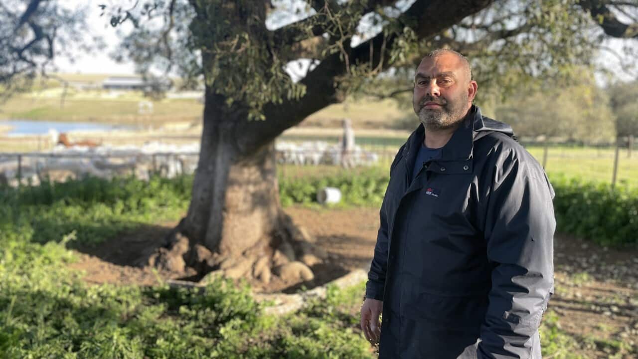 Zuhair El Henday has spent nine months trying to bring his family to Australia on tourist visas-to no avail (SBS).jpg