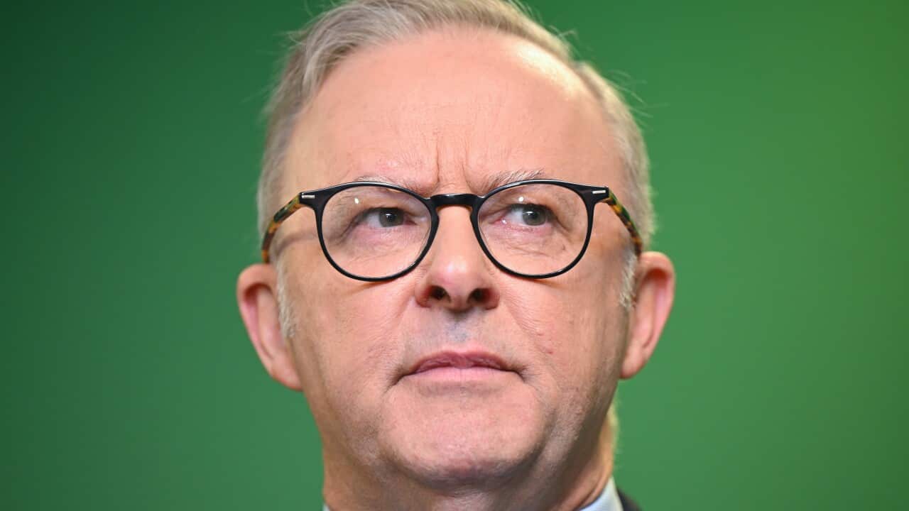 ELECTION25 ANTHONY ALBANESE CAMPAIGN