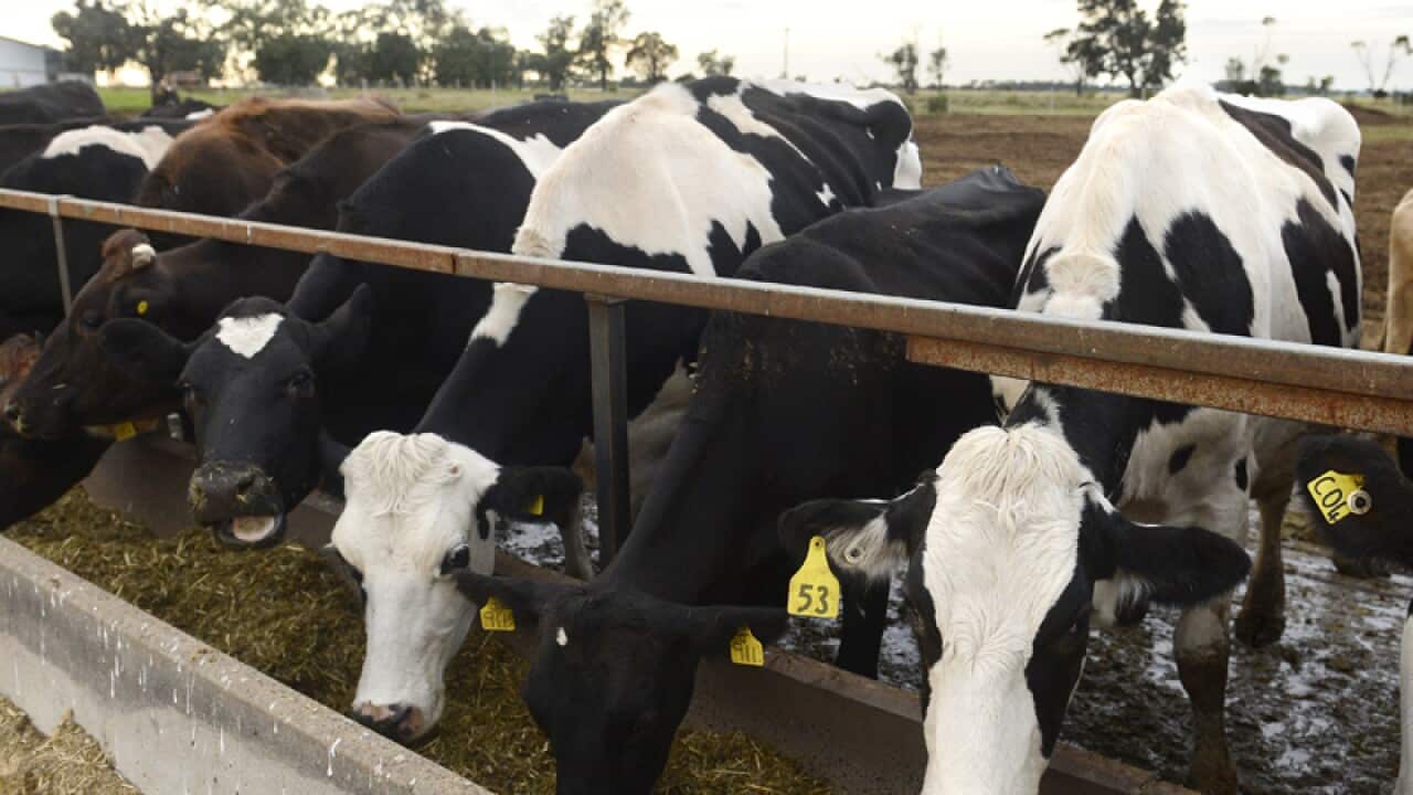 Image for read more article 'READ MORE'