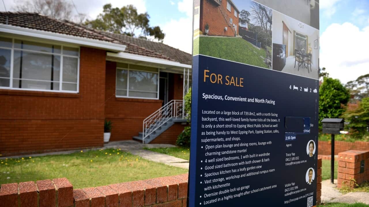 Image for read more article 'READ MORE'