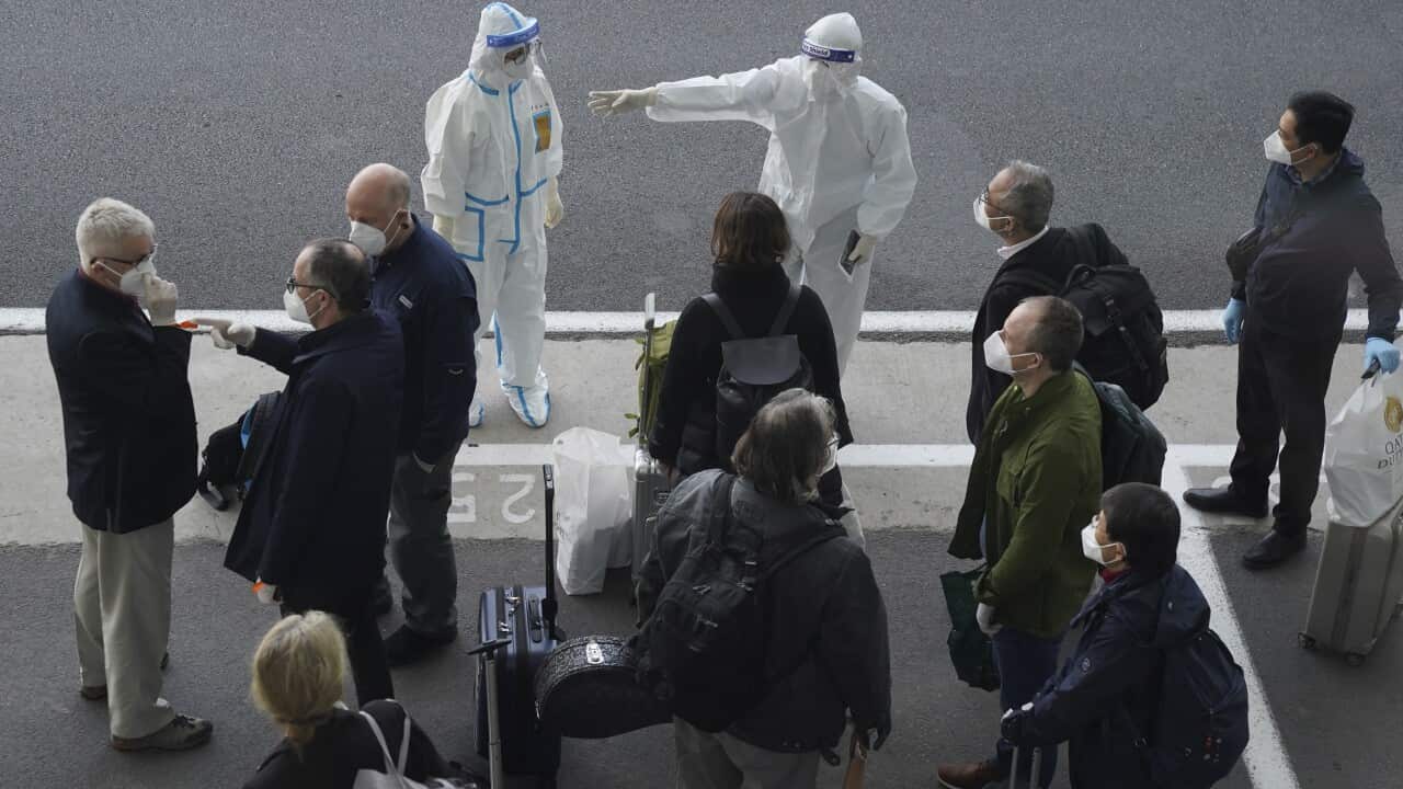 A worker directs members of the WHO team upon their arrival in Wuhan, January 14, 2021