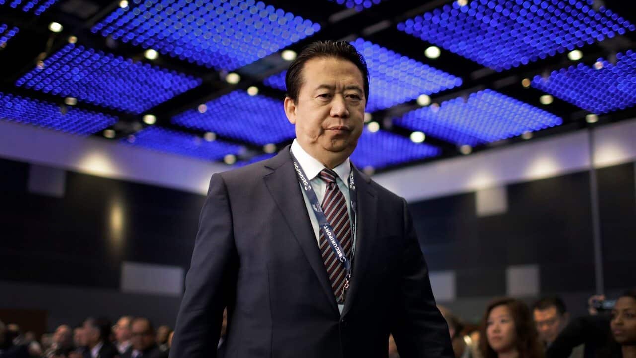 Interpol President, Meng Hongwei, on July 4, 2017.