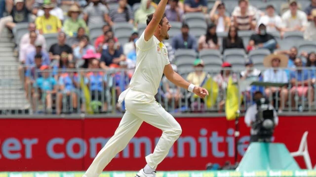 Mitchell Starc of Australia celebrates.