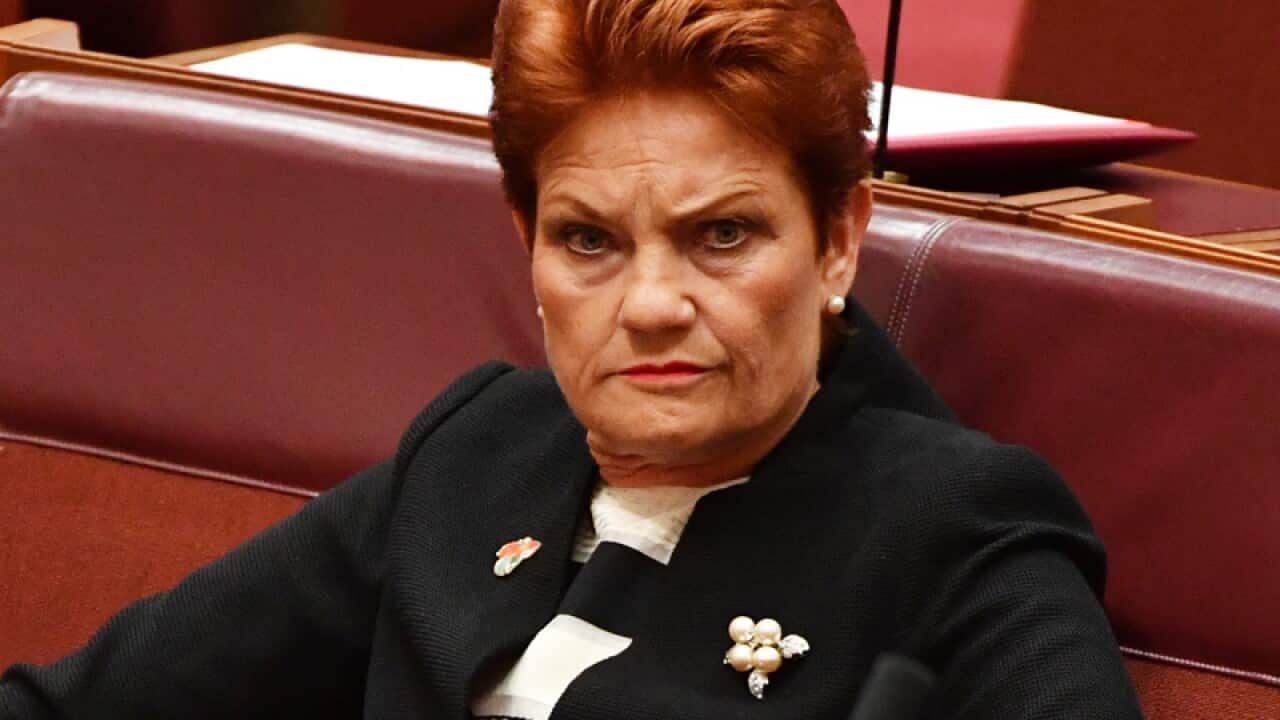 School boss blames Pauline Hanson's 'demonising of Muslims' for pig's head outside Islamic college | SBS News