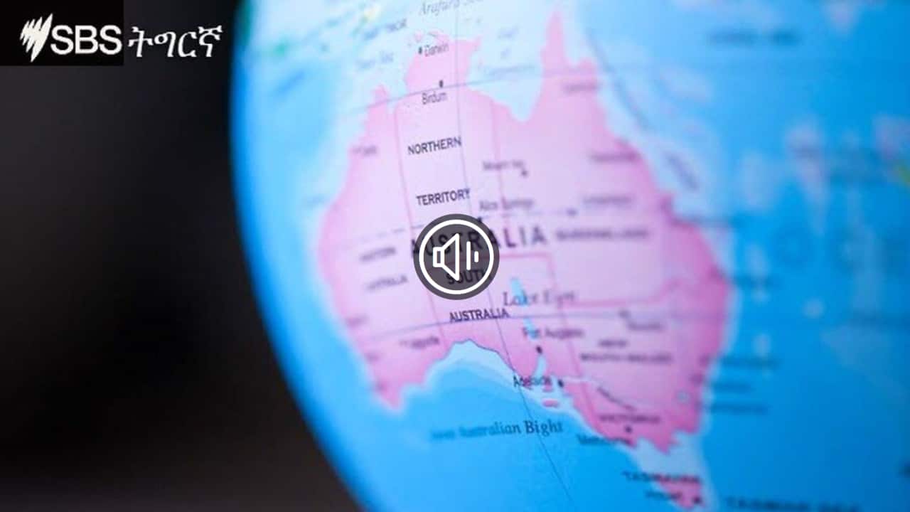 Daily News SBS Tigrinya