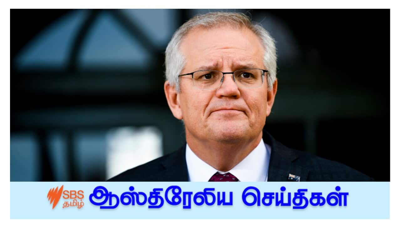 News and Current affairs