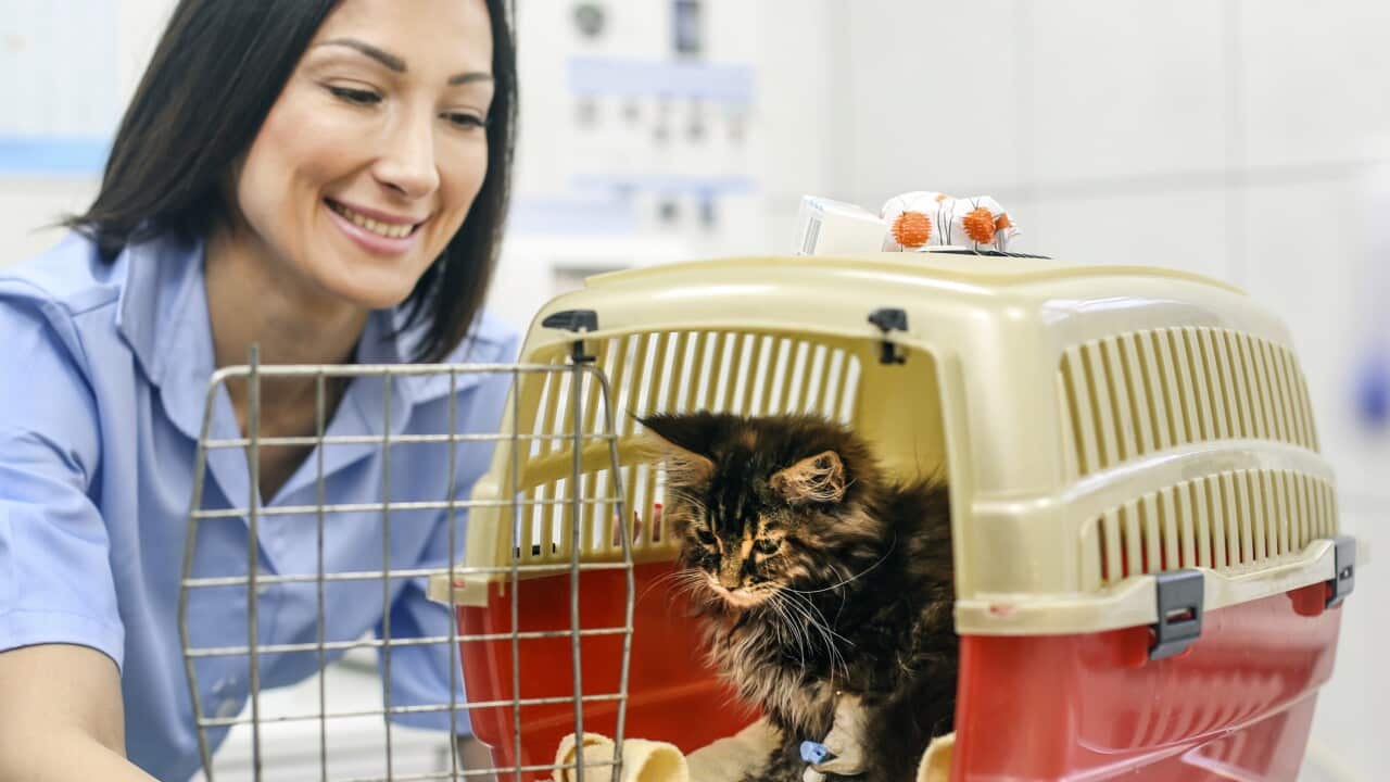 Image for read more article '阅读更多'