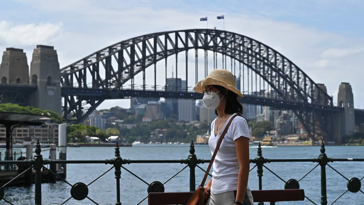 A woman wearing a hat and a face mask is walking beside the harbor with the Harbour Bridge in the background.