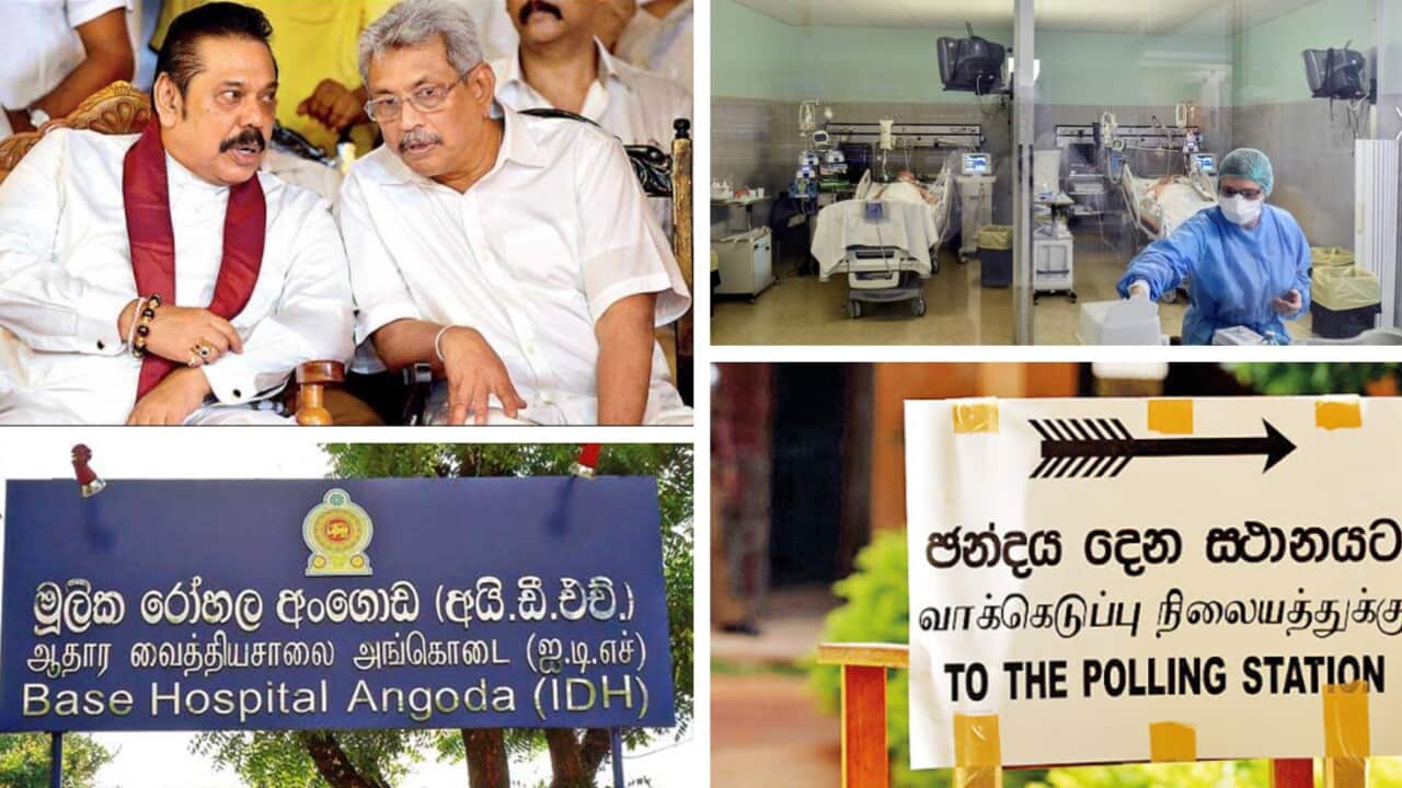 Sri Lankan news wrap