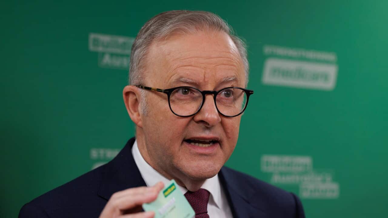 ANTHONY ALBANESE SYDNEY VISIT