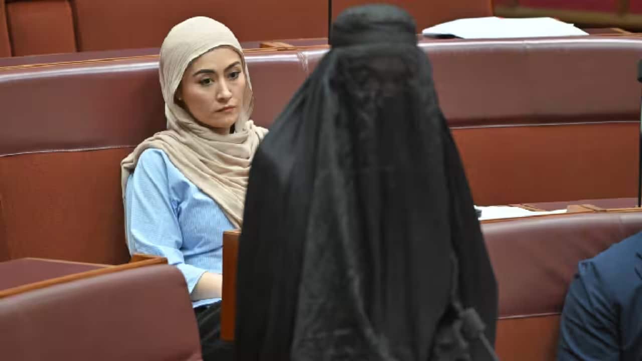 Pauline Hanson's burqa.png