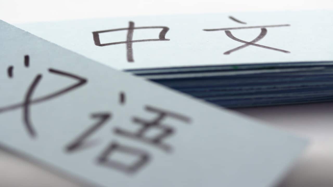 flash/vocabulary cards with chinese characters