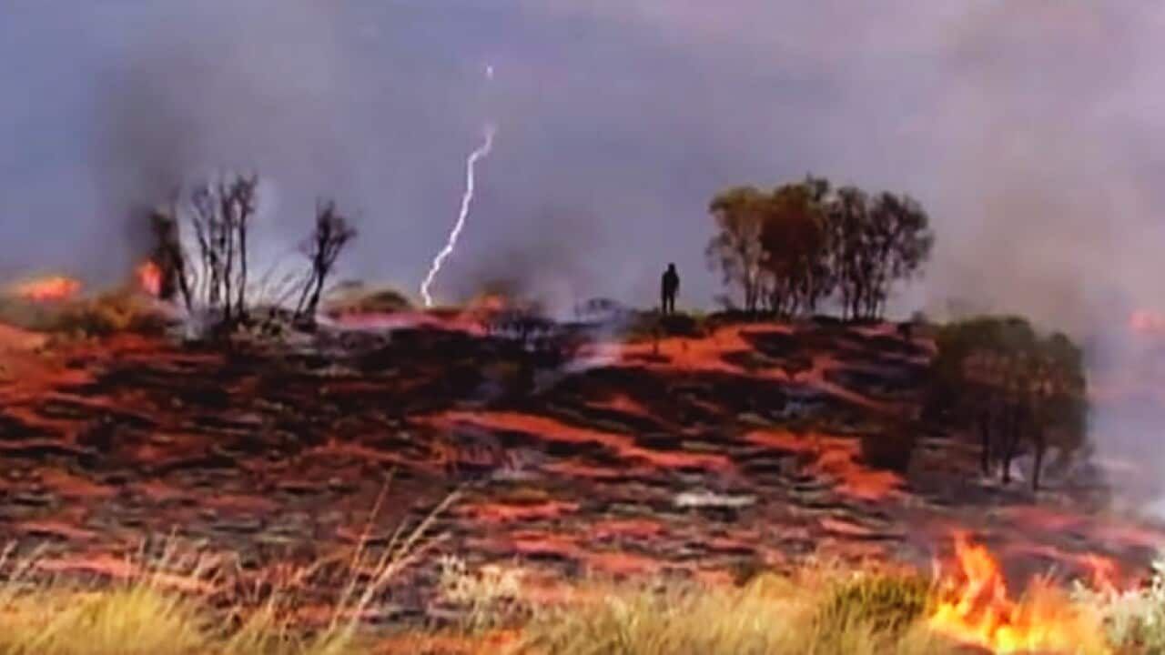 Putuparri and the Rainmakers Kurtal