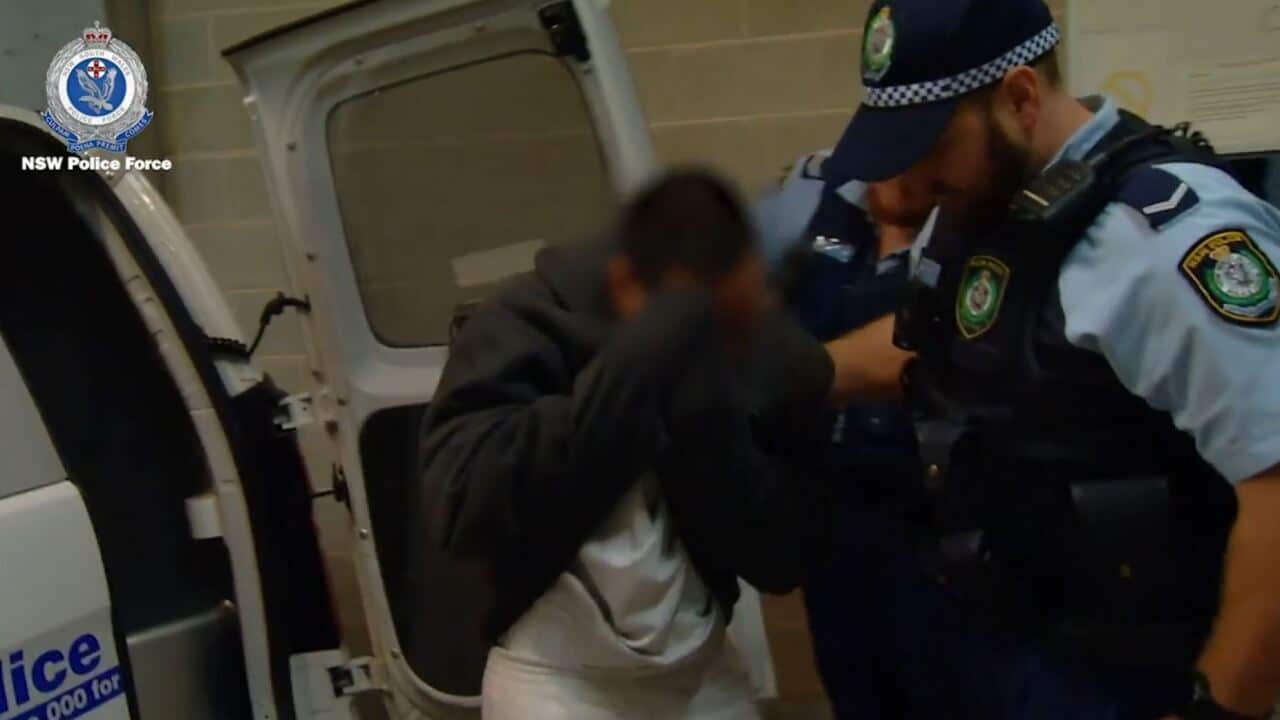 A tourist who allegedly raped a woman in a Sydney apartment before fleeing the country hours later has been extradited from the United States.