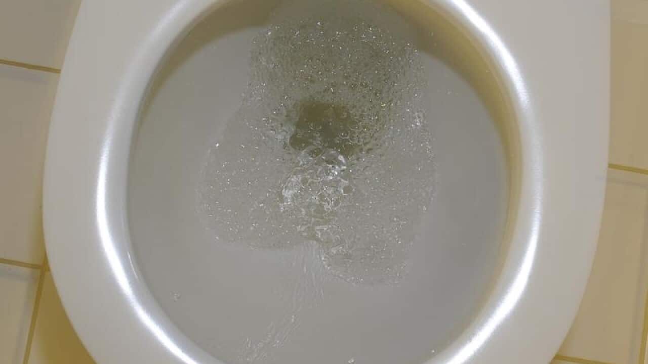 A toilet being flushed
