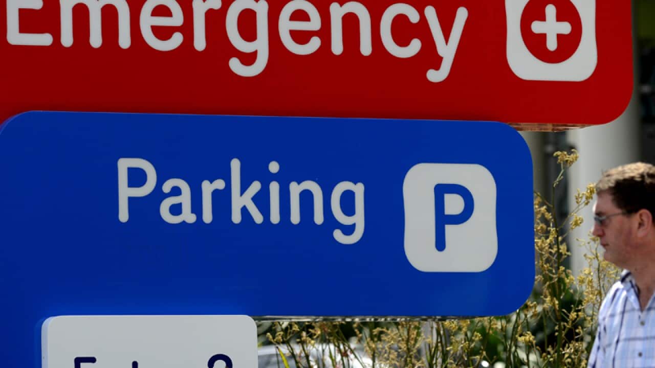 The Royal Children's Hospital Melbourne in Melbourne