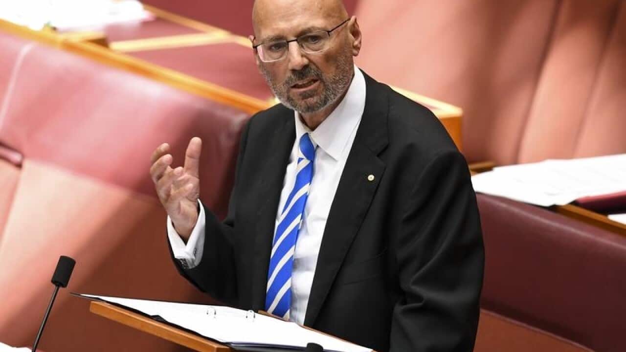 Coalition senator Arthur Sinodinos in parliament.