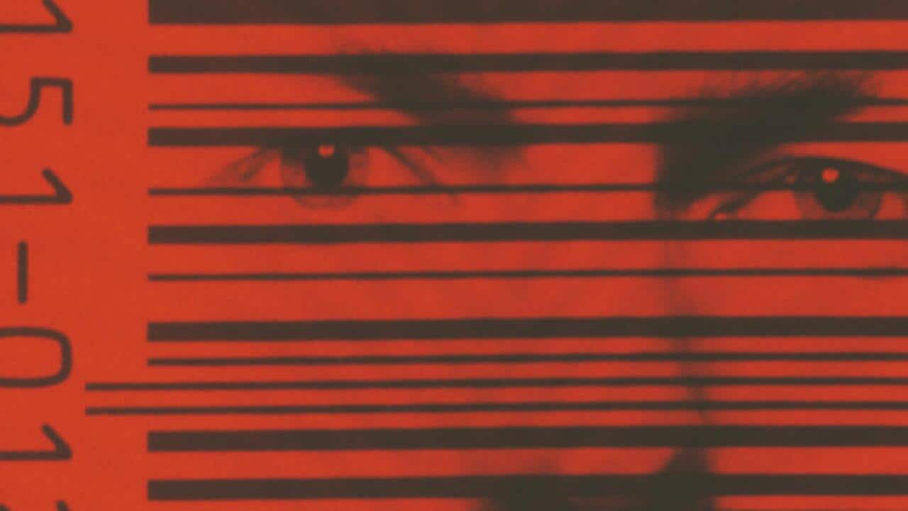 A human face behind the black bars of a barcode