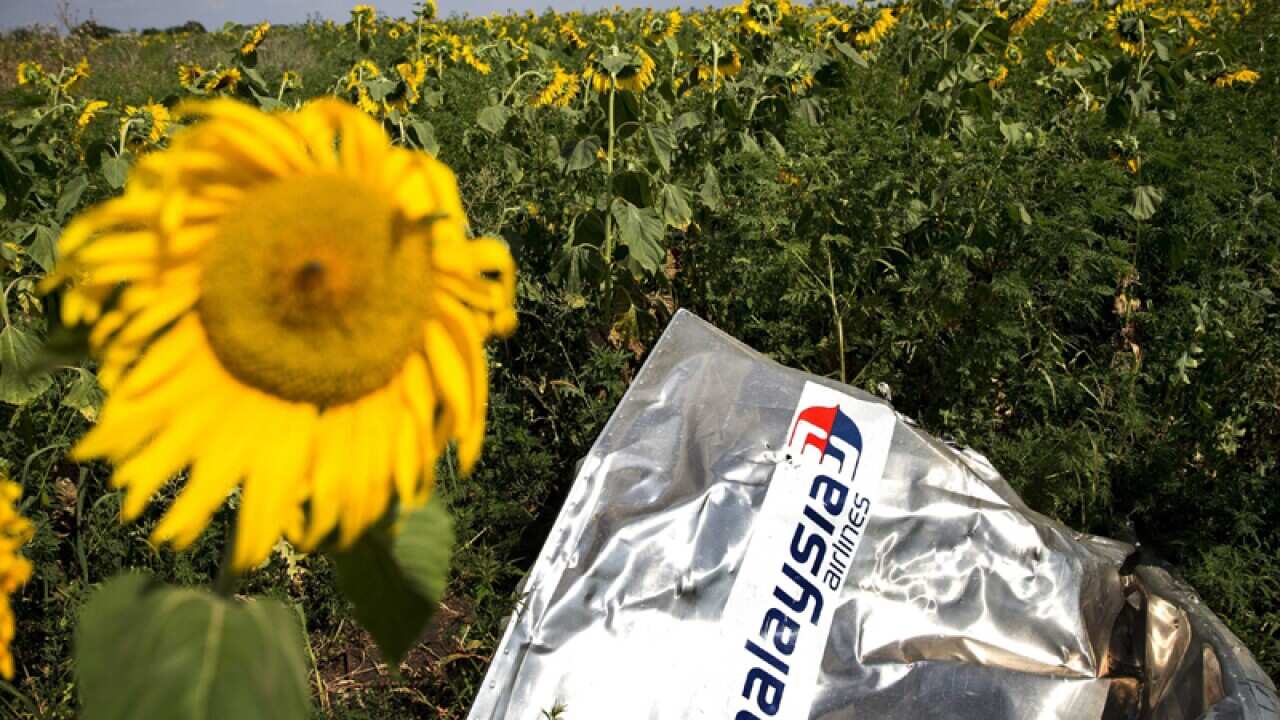 A sunflower next to the debris of Malaysia Airlines Boeiing 777