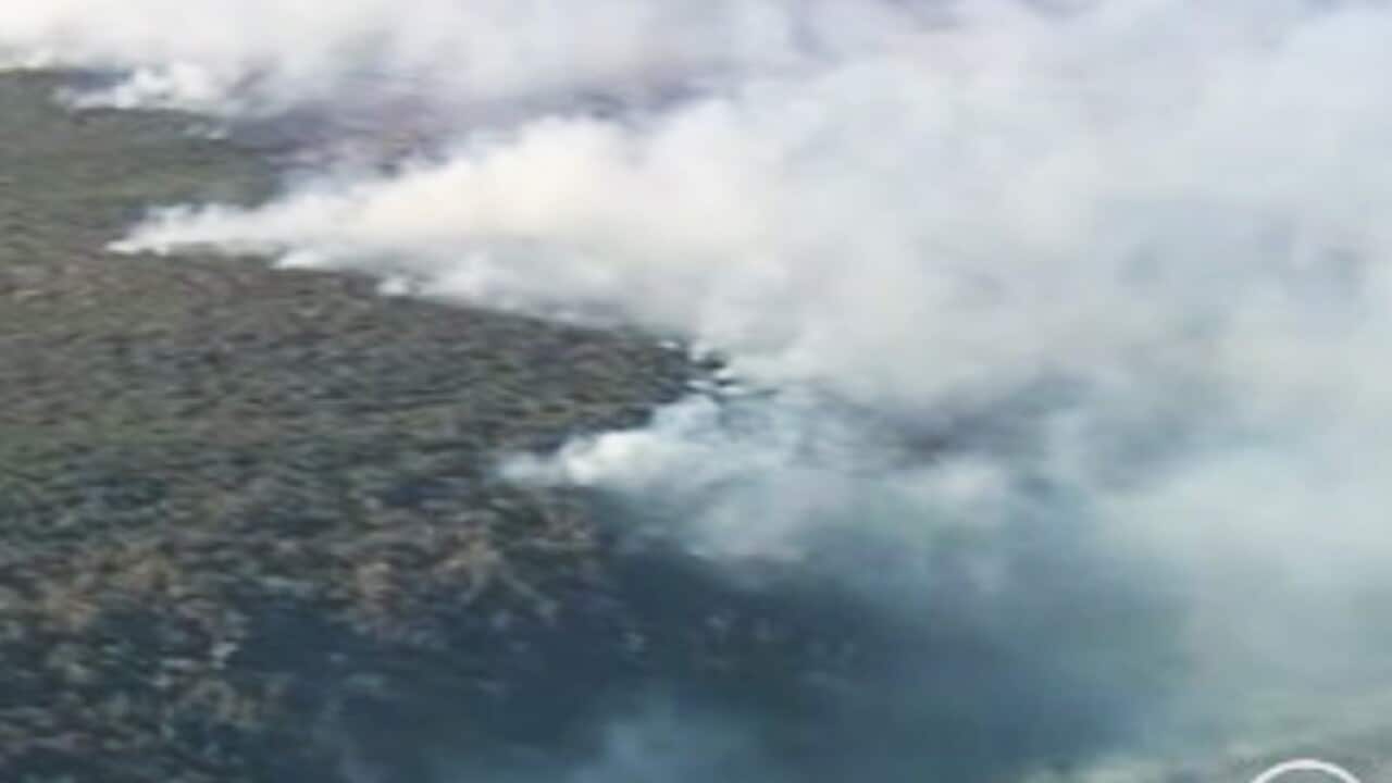 fire_WA_ten_111124_1112528982