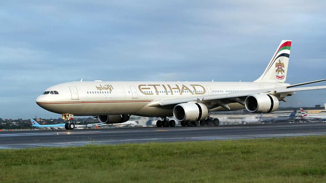 A file photo of a a Etihad Airways plane landing in Sydney.
