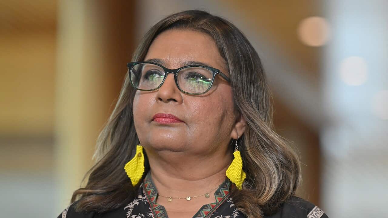 ADAM BANDT GREENS PRESSER