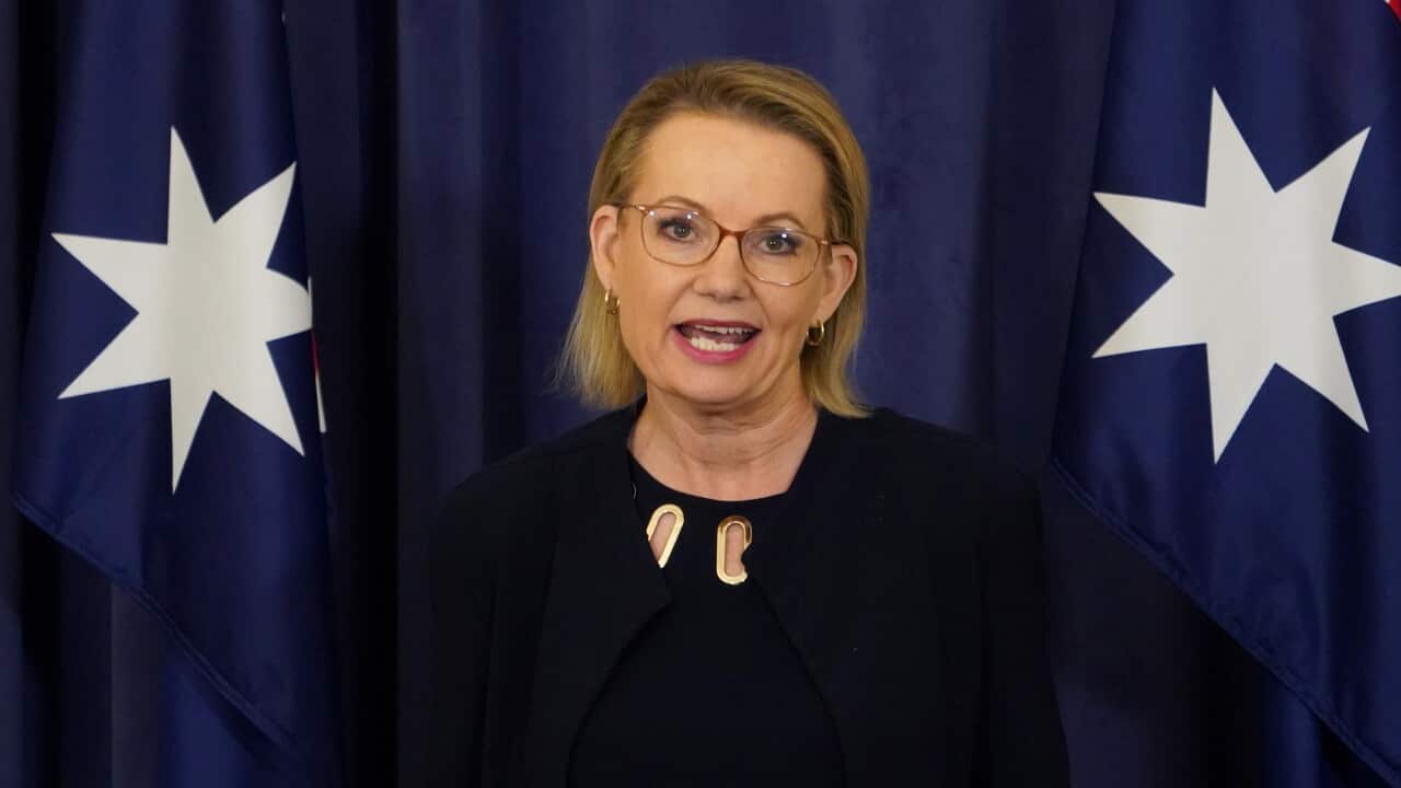 A woman wearing a black top is speaking in front of a blue background with white stars.